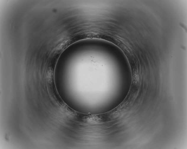 X0000091310468200708171420