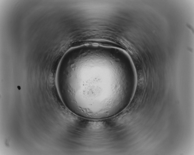 X0000091310469200708171420