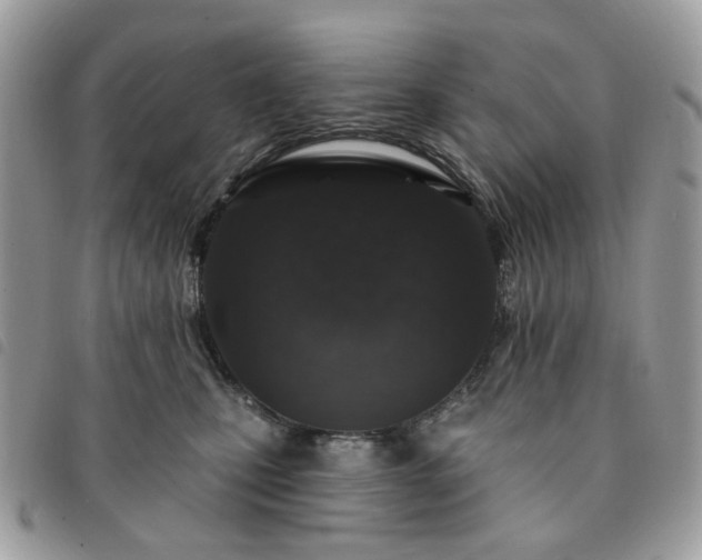 X0000091310471200708171420