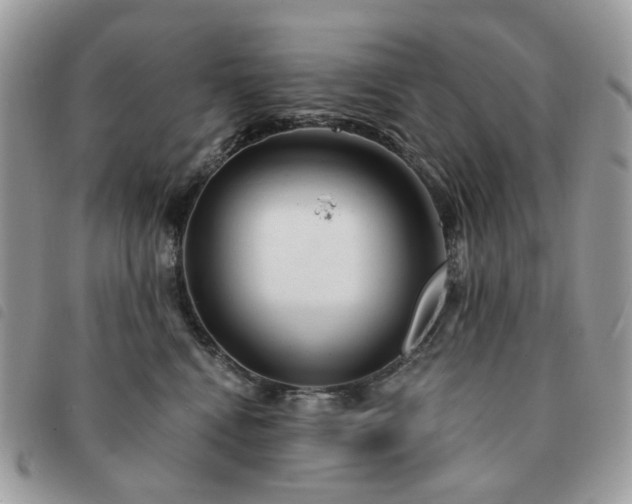 X0000091310472200708171420