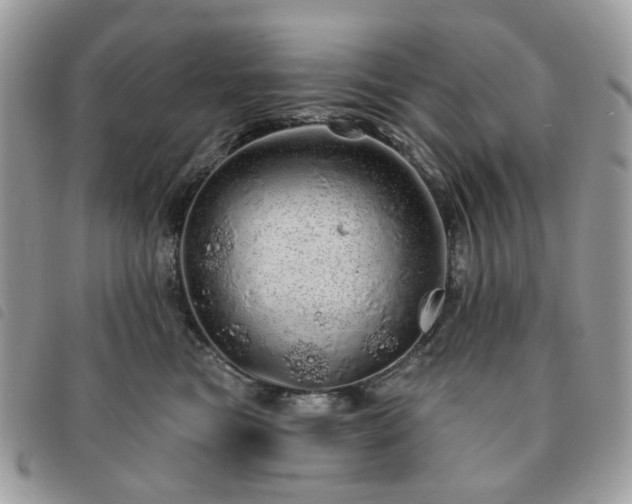 X0000091310473200708171420