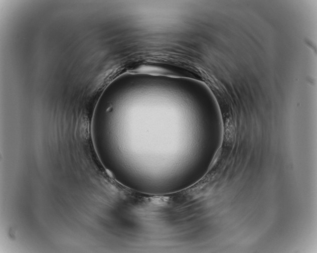 X0000091310474200708171420