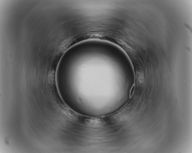 X0000091310475200708171420