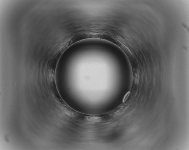 X0000091310476200708171420