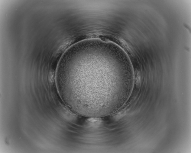 X0000091310477200708171420