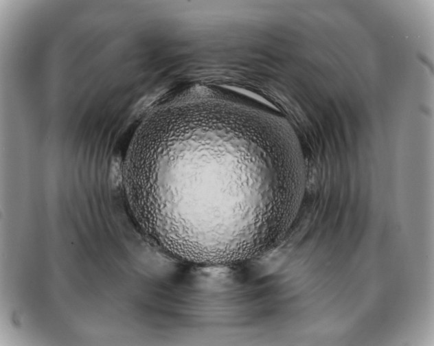 X0000091310478200708171420