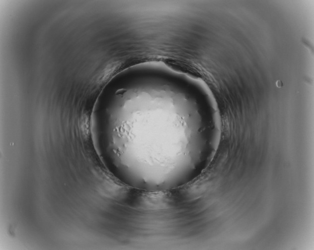 X0000091310479200708171420