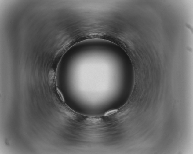 X0000091310480200708171420