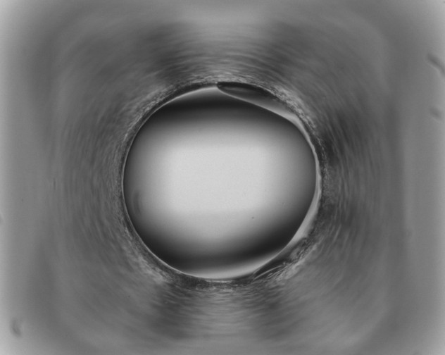 X0000091310481200708171419