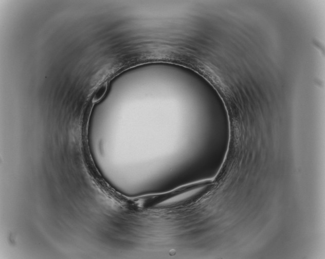 X0000091310482200708171419