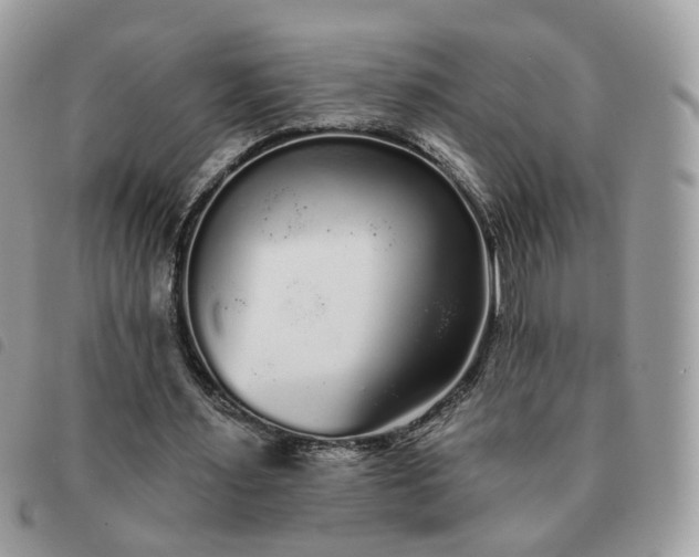 X0000091310483200708171419