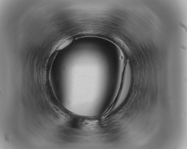 X0000091310484200708171419