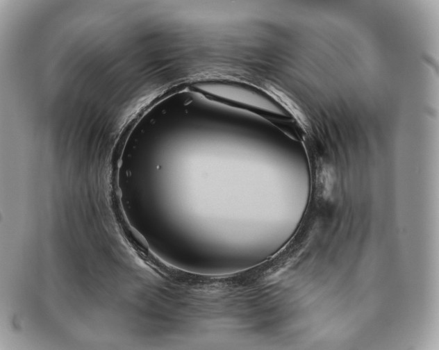 X0000091310485200708171419