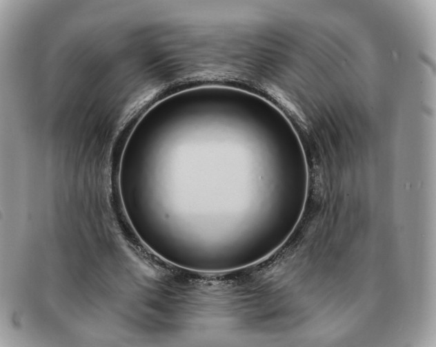 X0000091310486200708171419