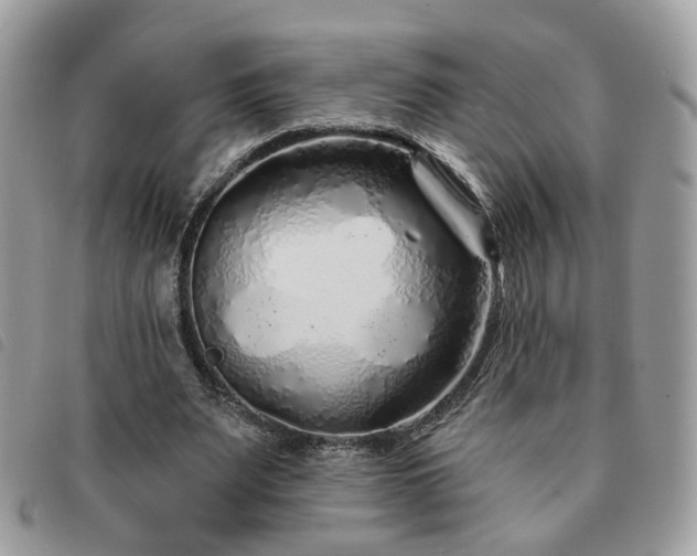 X0000091310487200708171419