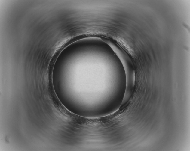 X0000091310488200708171419