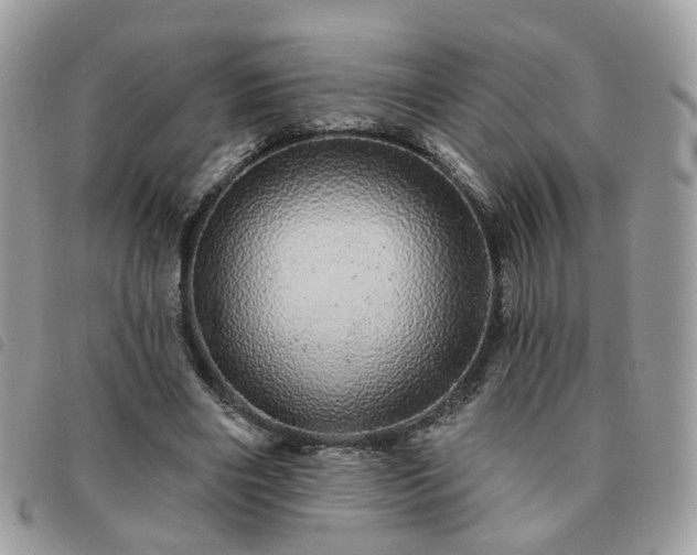 X0000091310490200708171419