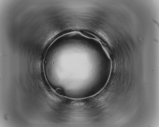 X0000091310491200708171419