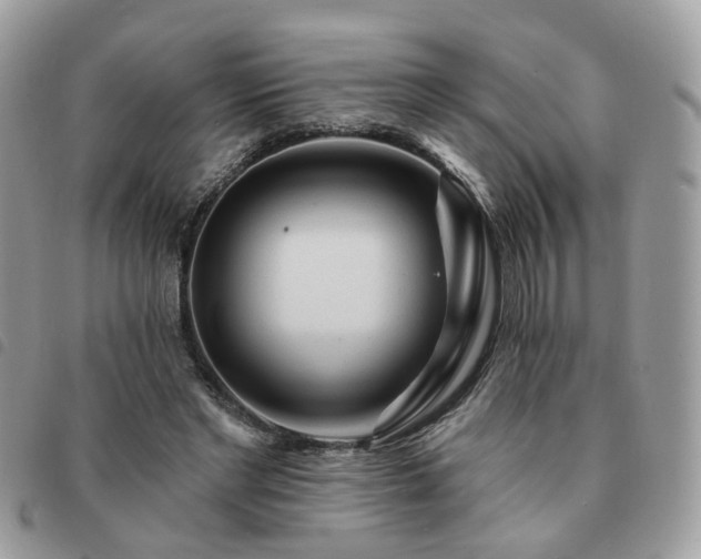 X0000091310493200708171419