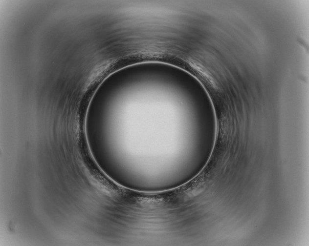 X0000091310494200708171419