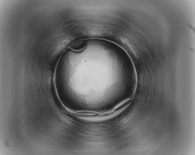 X0000091310495200708171419