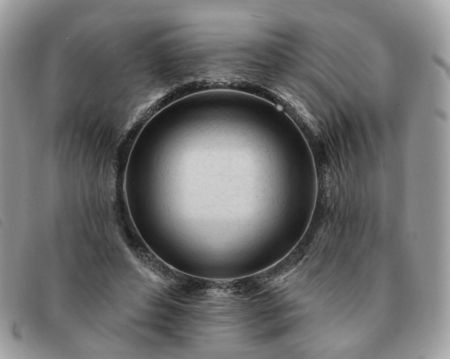 X0000091310496200708171419