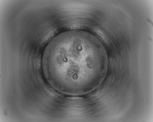 X0000091310499200708171419