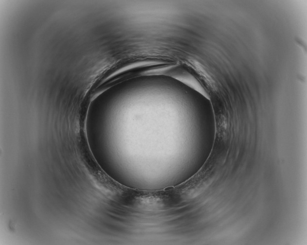 X0000091310500200708171419