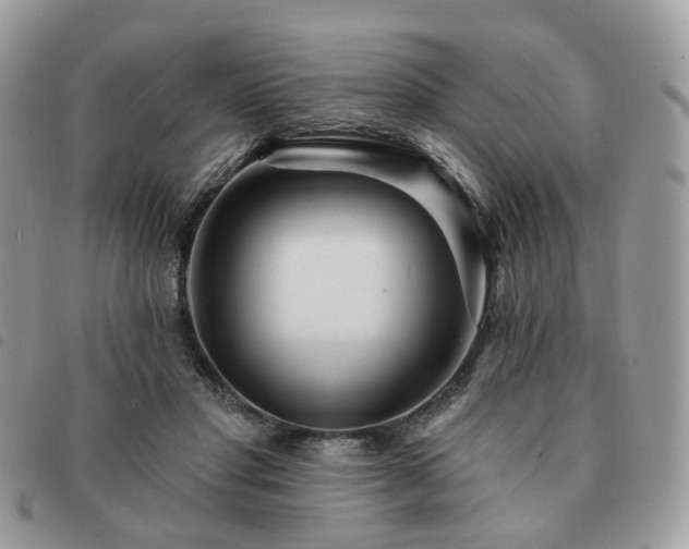 X0000091310501200708171419