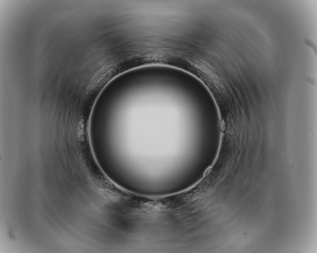 X0000091310502200708171419