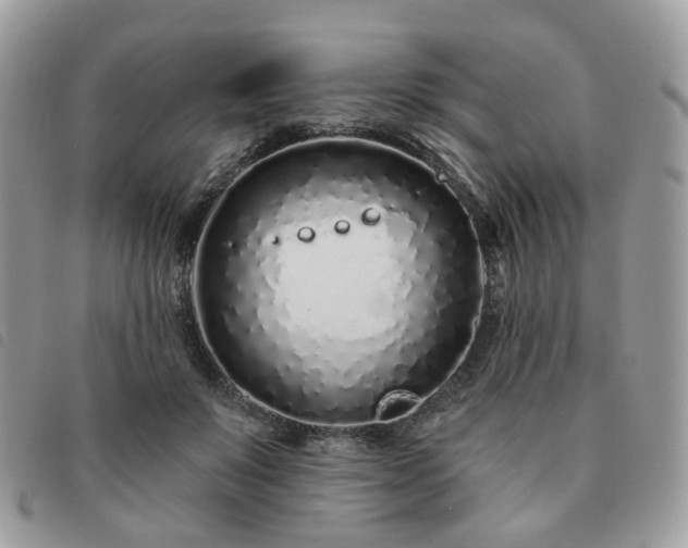 X0000091310503200708171419