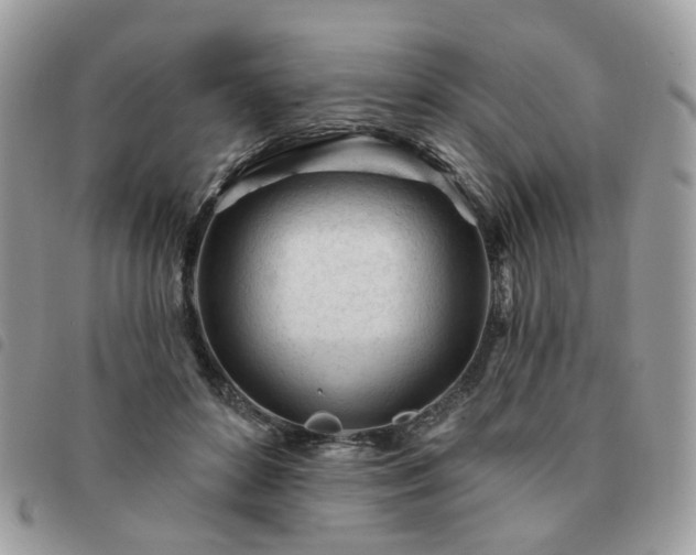 X0000091310504200708171419