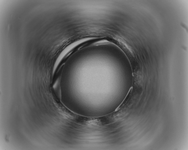 X0000091310505200708171419