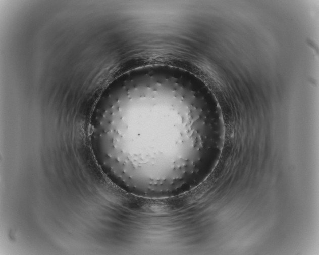 X0000091310506200708171419