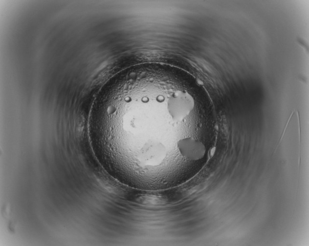 X0000091310507200708171419