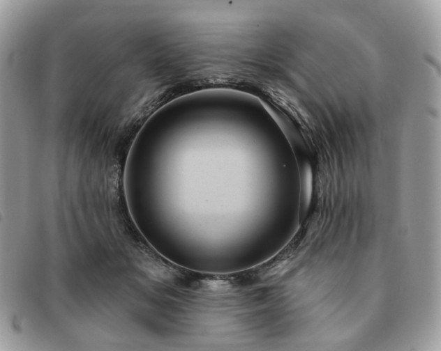 X0000091310509200708171419