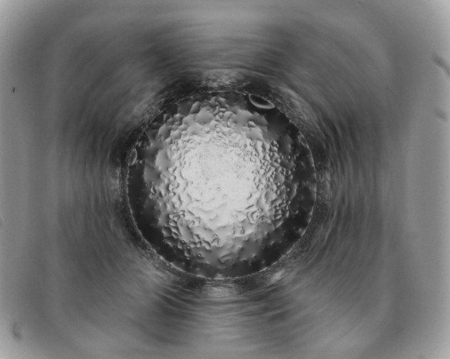 X0000091310510200708171419