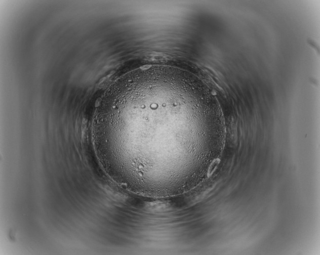 X0000091310511200708171419