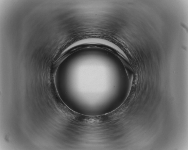 X0000091310512200708171419