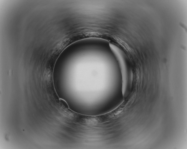 X0000091310513200708171419