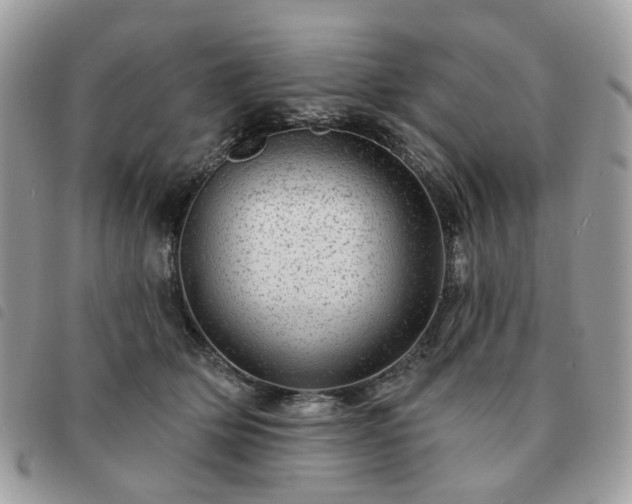 X0000091310514200708171419