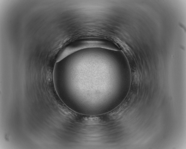 X0000091310517200708171419