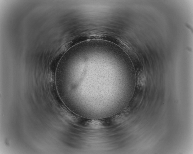 X0000091310518200708171419