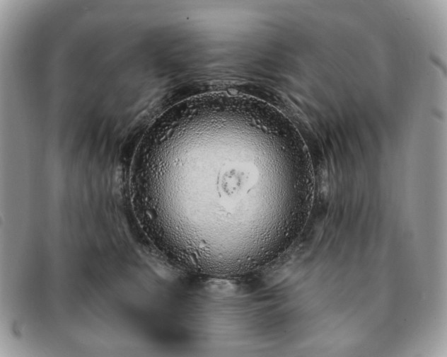 X0000091310519200708171419