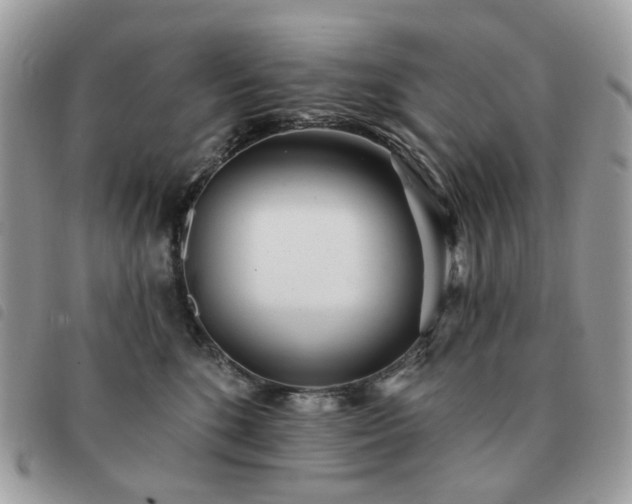 X0000091310520200708171419