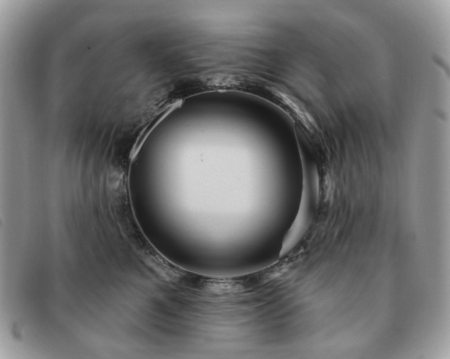 X0000091310521200708171419