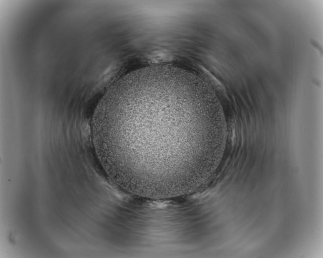 X0000091310523200708171419