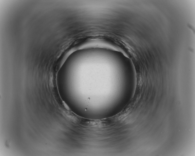 X0000091310524200708171419