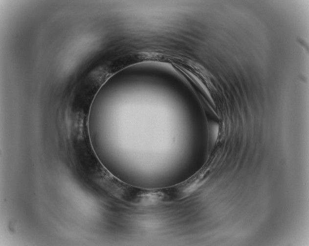 X0000091310525200708171419