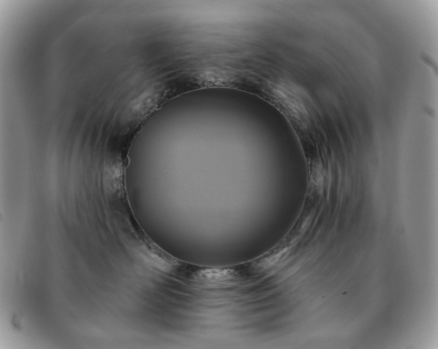 X0000091310526200708171419